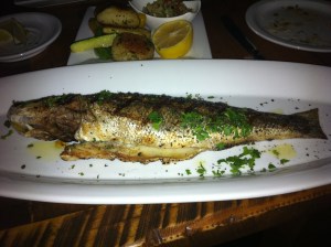 vittorio fish
